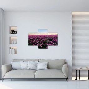 Obraz - Lúka fialových tulipánov (90x60 cm)