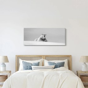 Obraz - Ľadový medveď (120x50 cm)