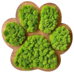 Machový obraz Labka 30 cm