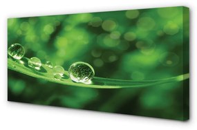 Obraz canvas Vodné kvapky makro 125x50 cm