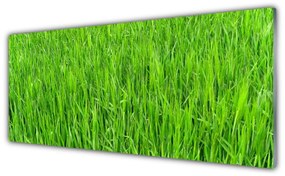 Obraz plexi Zelená tráva príroda trávnik 125x50 cm