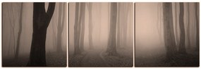 Obraz na plátne - Hmla v lese - panoráma 5182FB (120x40 cm)