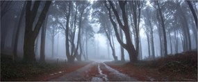 Obraz - Za daždivého dňa (120x50 cm)