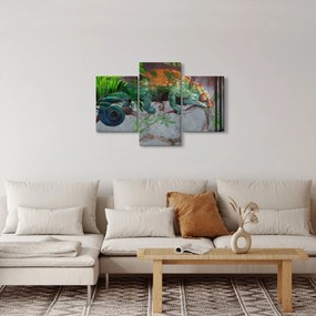 Obraz - Chameleon (90x60 cm)