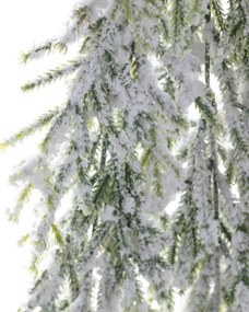Vetvička White Pine 66cm