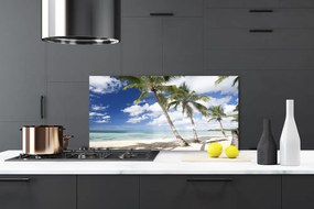 Nástenný panel  More pláž palma krajina 120x60 cm
