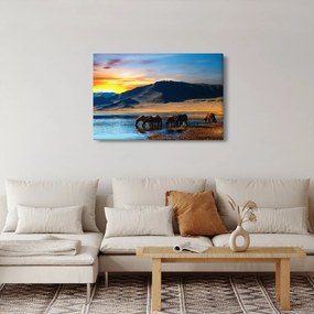 Obraz - Napájadlo (90x60 cm)
