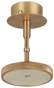 LED bodové svietidlo v zlatej farbe ø 12 cm Asteria Spot – UMAGE