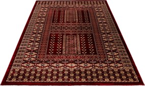 Obsession, AKCIA: 80x150 cm Kusový koberec My Ariana 883 red, červená, obývacia izba