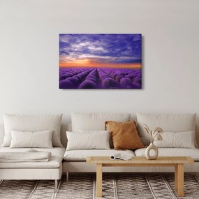 Obraz levanduľového pole (90x60 cm)