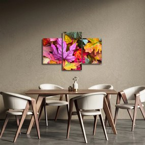 Obraz - jesenné listy (90x60 cm)