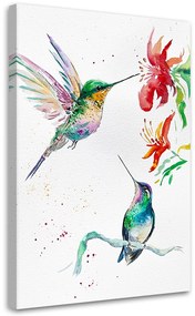 Gario Obraz na plátne Kolibríky - Dorota Martyńska Rozmery: 60 x 90 cm