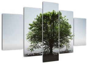 Obraz - Osamotený strom (150x105 cm)