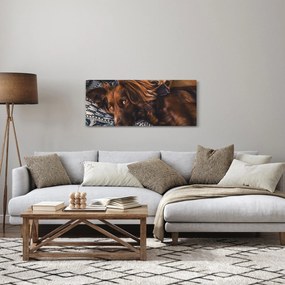 Obraz ležiacich psov (120x50 cm)