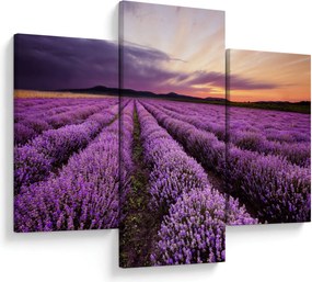 Obraz - Levanduľové pole pri západe slnka (90x60 cm)