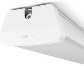 Philips 31247/31/P0 -LED Technické žiarivkové svietidlo AQUALINE LED/50W/230V IP65