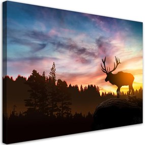 Obraz na plátně, Jelen při západu slunce - 100x70 cm