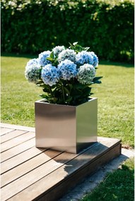 Umelá hortenzia HYDRANGEA v bielom kvetináči, výška 90 cm, modrá
