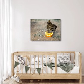 Sklenený obraz motýľa (70x50 cm)