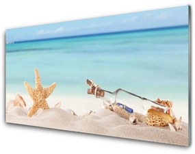 Skleneny obraz Hviezdice mušle pláž 100x50 cm