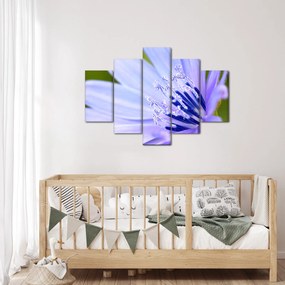 Obraz - kvet (150x105 cm)