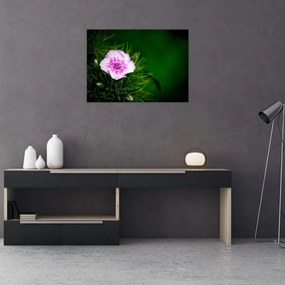 Sklenený obraz ružového kvetu (70x50 cm)