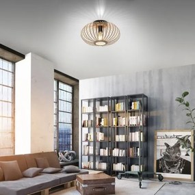 Leuchten Direkt 11410-79 - Prisadený luster RACOON 1xE27/40W/230V pr. 40 cm