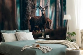 Fototapeta jeleň v lese - 150x100