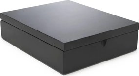 Drevená škatuľka na čaj – Bredemeijer