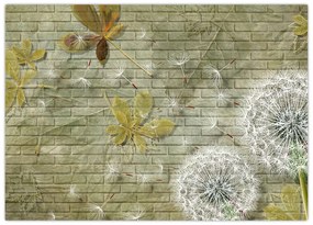 Obraz - Púpavy unášané vetrom (70x50 cm)