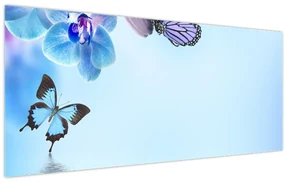 Obraz - Motýľ na kvetoch orchidey, modrý (120x50 cm)