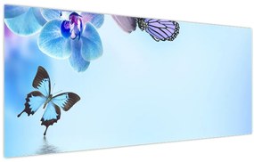 Obraz - Motýľ na kvetoch orchidey, modrý (120x50 cm)