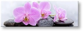 Obraz na plátne FENG SHUI_062-13 | rôzne rozmery