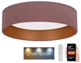 Brilagi - LED Stmievateľné svietidlo VELVET SMART LED/24W/230V Wi-Fi Tuya + DO BG0431