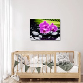 Sklenený obraz - Orchidey (70x50 cm)
