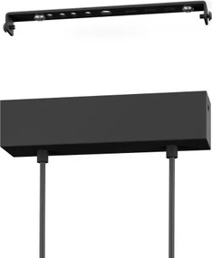 Eglo 900489 - LED Stmievateľný luster na lanku PANAGRIA 2xLED/13W/230V