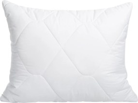 VANKÚŠ SILVER 50X60 CM BIELA