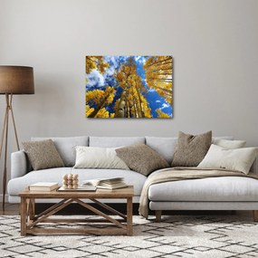 Obraz - Aspen (70x50 cm)