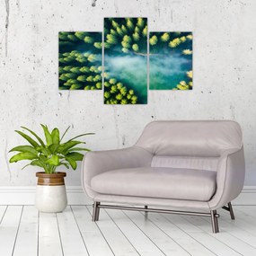 Obraz - Hmlou zahalený les (90x60 cm)