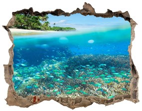 Nálepka fototapeta 3D výhled Koralový útes nd-k-78236057