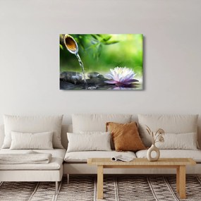 Obraz - Lotus (90x60 cm)