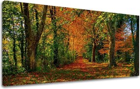 Obraz na stenu PANORÁMA STROMY ST033E13