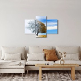 Obraz - Zmena ročného obdobia (90x60 cm)