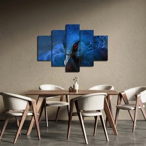 Obraz - Holub korunovaný (150x105 cm)