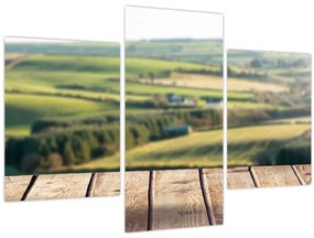 Obraz - Výhľad na krajinu (90x60 cm)
