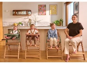 Lionelo - Detská jedálenská stolička 3 v 1 MEGAN White Wood