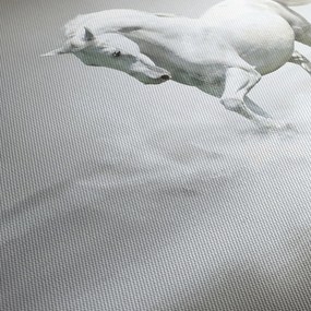 Obraz - Biely kôň (120x50 cm)