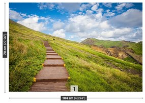 Fototapeta Vliesová Ostrov madeira 250x104 cm