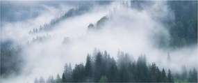 Obraz - Stromy v hmle (120x50 cm)