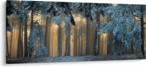 Obraz zasneženého lesa (120x50 cm)